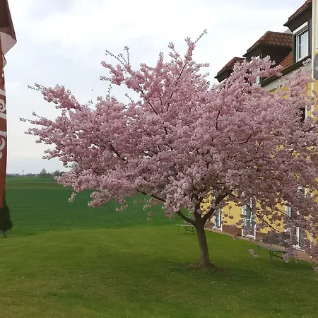 Rhoener Land Garni - Hotel 4*